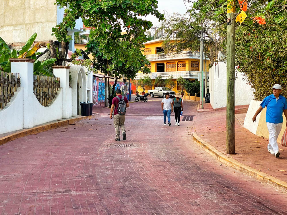 Calle Adelita en Colonia La Madera